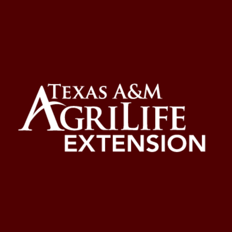 Texas A and M AgriLife Extension Logo for Yoakum County Texas